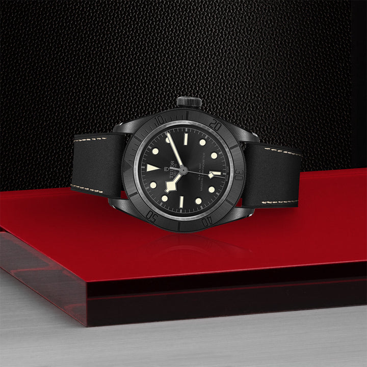 Tudor Black Bay Ceramic Watch - M79210CNU-0001 - 41mm ceramic case