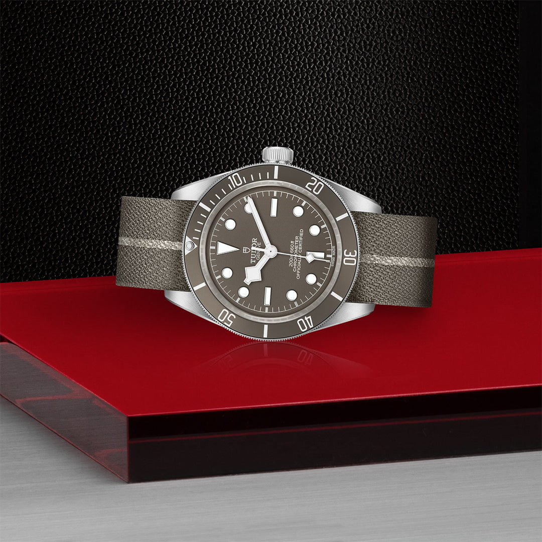 Tudor Black Bay Fifty-Eight 925 Watch - M79010SG-0002 - 39mm silver case