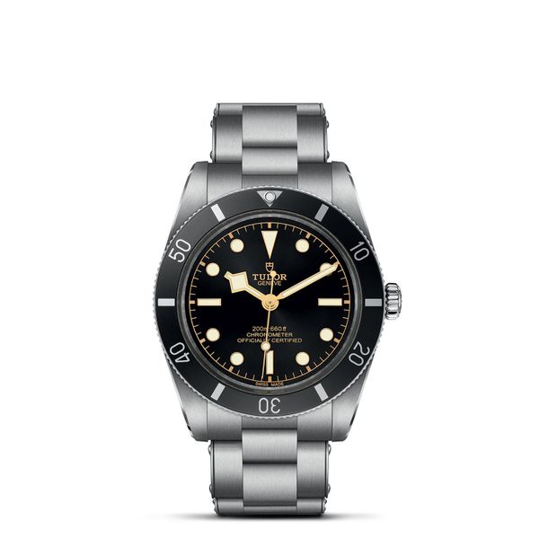 Tudor Black Bay 54 Watch - M79000N-0001