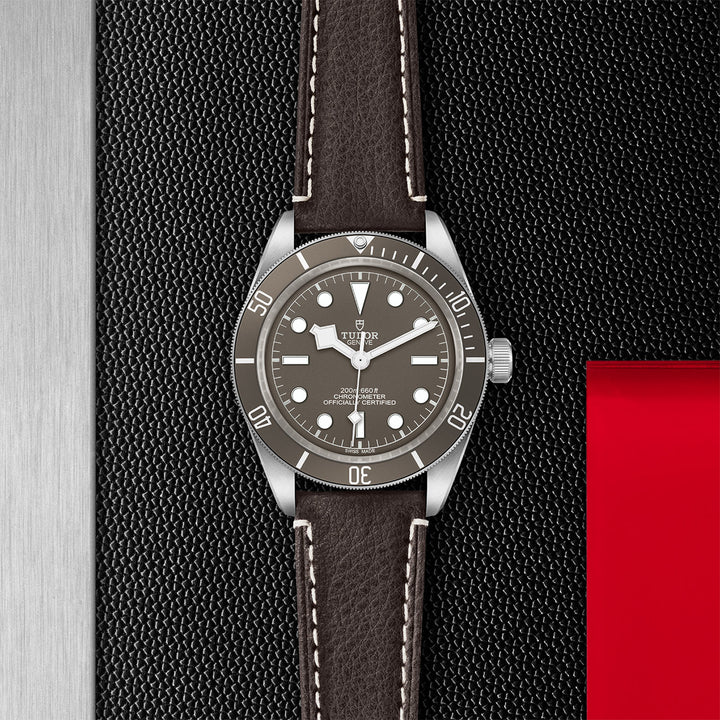 Tudor Black Bay Fifty-Eight 925 Watch - M79010SG-0001 - 432P308